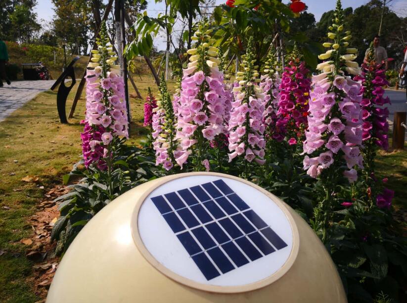 5V Solar Panels 