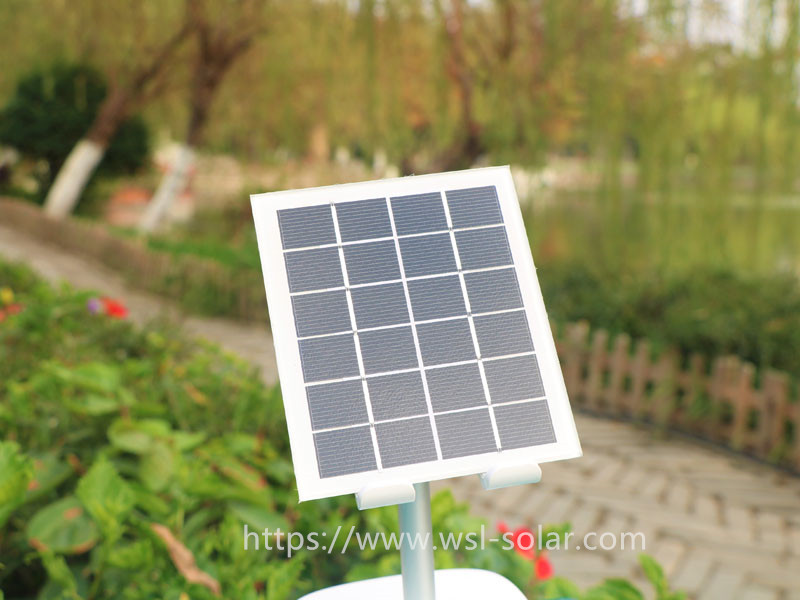 Not Afraid to be Listed as PHEIC, Longji and Dongfang Risheng Are Full of Confidence in Photovoltaic Exports