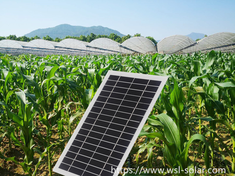 Trends of over 30 Solar Photovoltaic Companies (2)