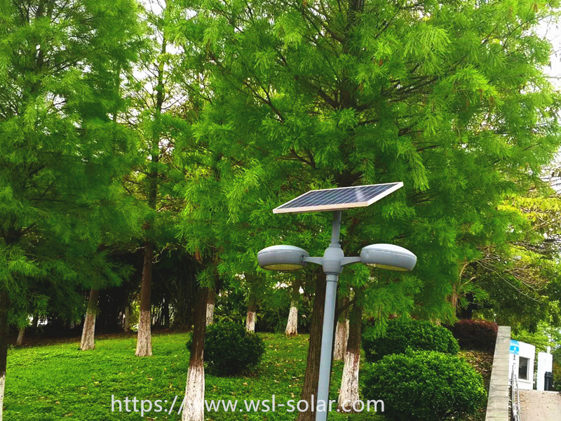 Tongwei's 6 Billion Yuan to Expand 210 Technology Routes, Net Profit Increased by 30% Last Year