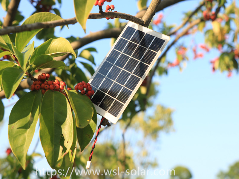The Price of Silicon Material is not Panic, or Other Solar Cell Opportunities
