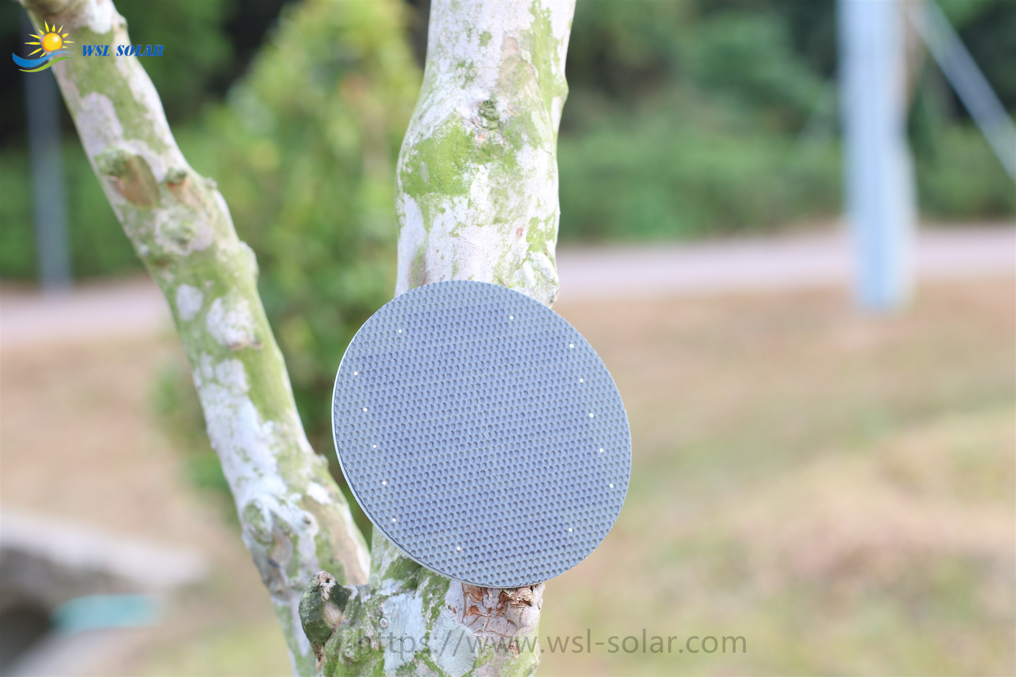 What is a back contact solar panel？