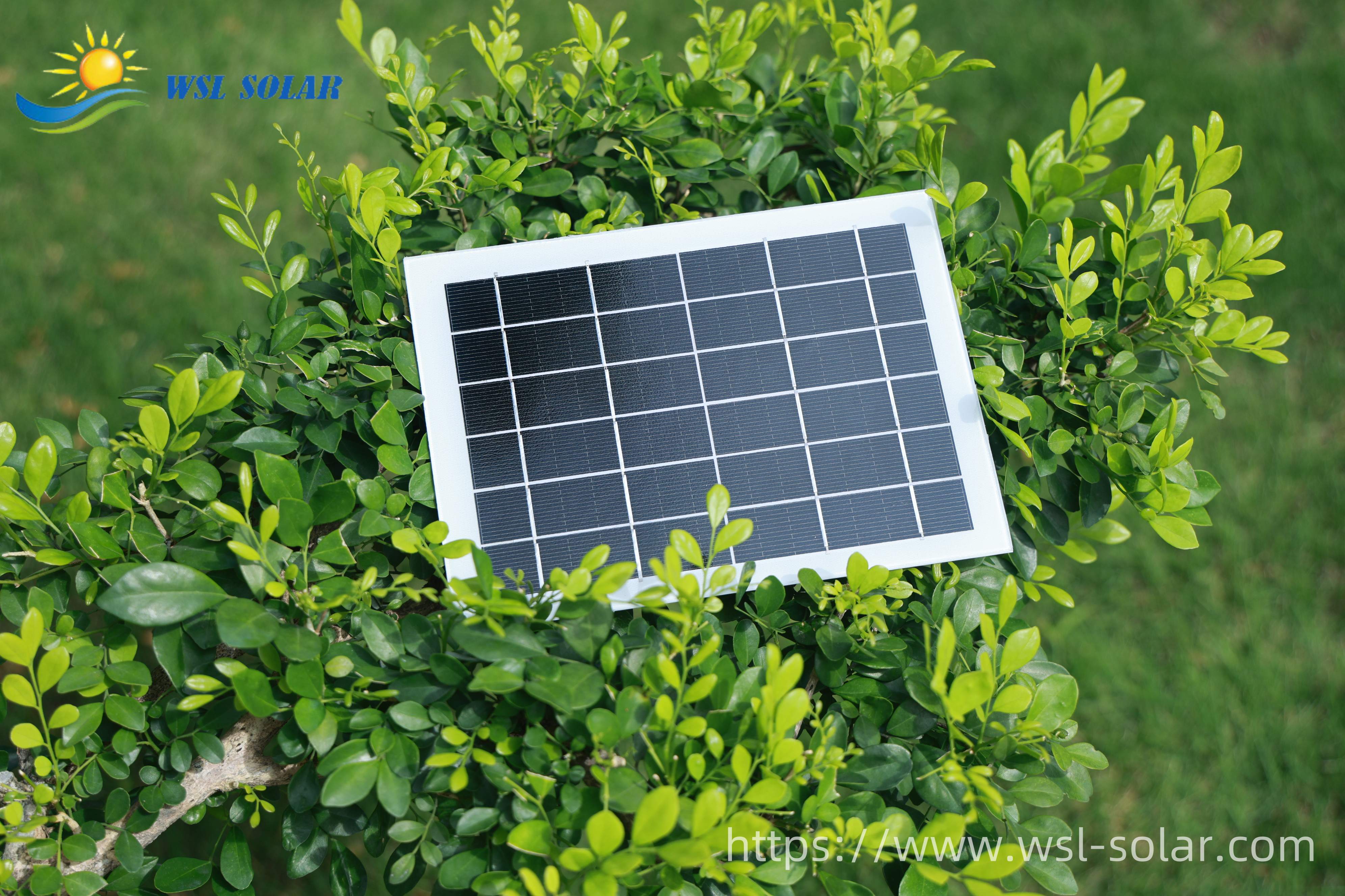 What are Perovskite Solar Cells and Their Latest Significant Progress? 